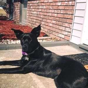 Meet your Posher, Zoie